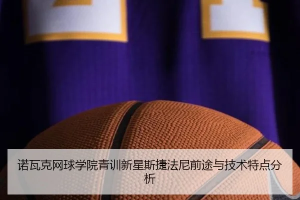 诺瓦克网球学院青训新星斯捷法尼前途与技术特点分析